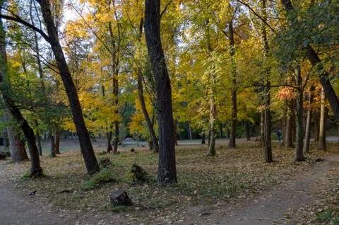 Autumn in South Park in Sofia Stock Photos