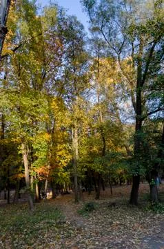 Autumn in South Park in Sofia Stock Photos