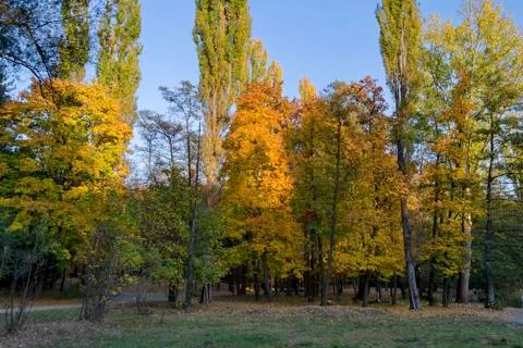 Autumn in South Park in Sofia Stock Photos