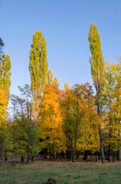 Autumn in South Park in Sofia Stock Photos