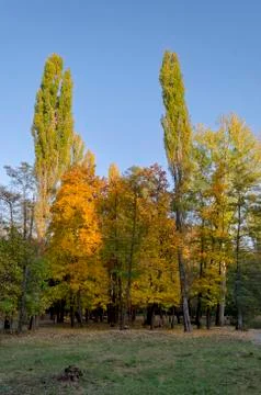 Autumn in South Park in Sofia Stock Photos