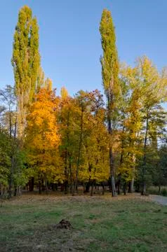 Autumn in South Park in Sofia Stock Photos