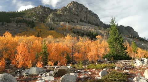 Autumn Splender Stock-Footage 12346308