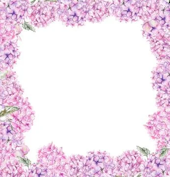 Autumn square frame with pink hydrangea. llustration of autumn for scrapboo.. Stock Illustration