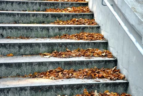 Autumn staircase Stock Photos