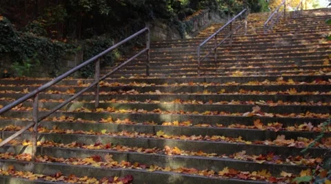 Autumn stairs Stock Footage 64634576