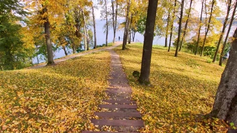 Autumn stairs Stock Footage 169752406