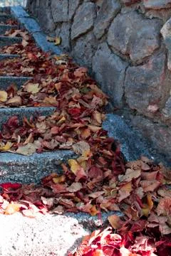 Autumn stairs Stock Photos