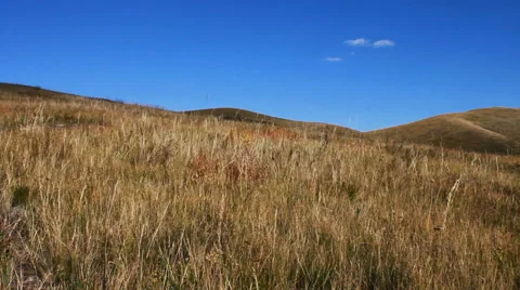 Autumn steppe Vídeos de archivo 42773272