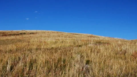 Autumn steppe 動画素材 42773293