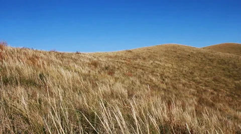 Autumn steppe Stock Footage 42773304