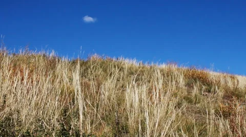 Autumn steppe 動画素材 42773368