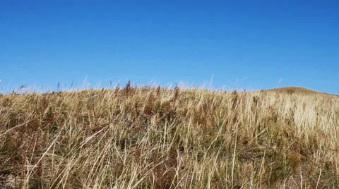 Autumn steppe Stock Footage 42773397
