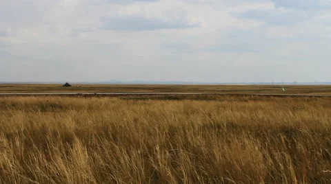 Autumn steppe Stock Footage 42773435