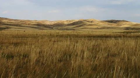 Autumn steppe Vidéo 42773481