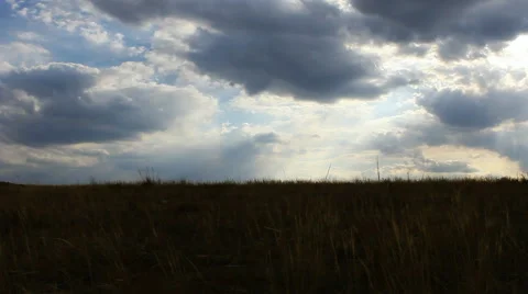 Autumn steppe Stock Footage 42773512