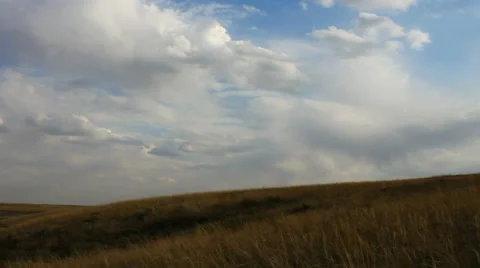 Autumn steppe Stock Footage 42773528