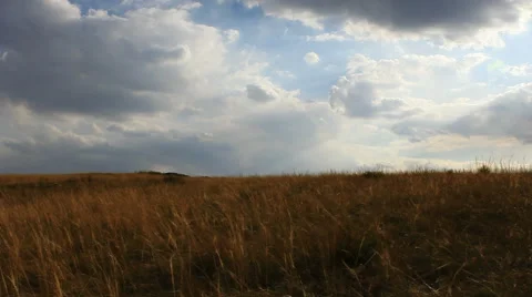 Autumn steppe Stock Footage 42773541