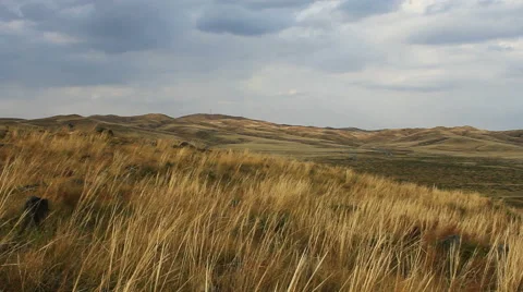 Autumn steppe 스톡 동영상 42773565
