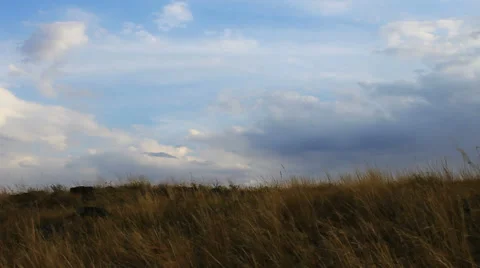 Autumn steppe Stock Footage 42773568