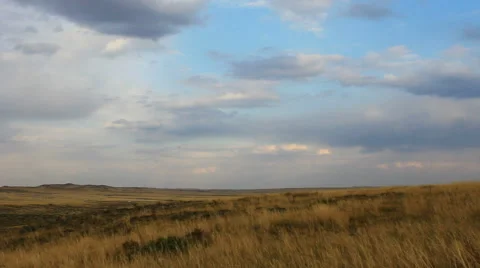 Autumn steppe Video stock 42773617