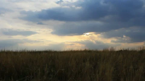 Autumn steppe 스톡 동영상 42773642