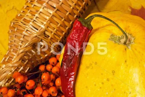 Autumn still life Stock Photos