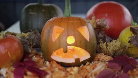 Autumn still life with pumpkins Stock Footage 163808399