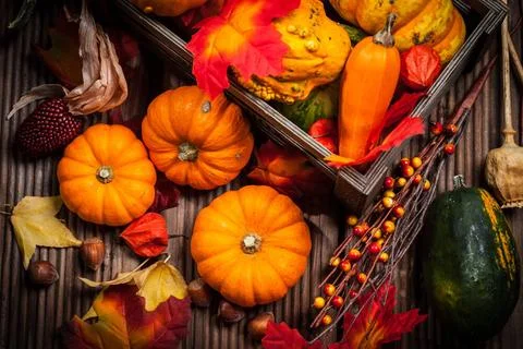 Autumn still life with pumpkins for Thanksgiving and Halloween Autumn stil... Stock Photos