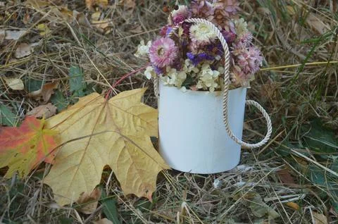 Autumn still life with yellow maple leaf and decorative dried flowers on the Foto stock