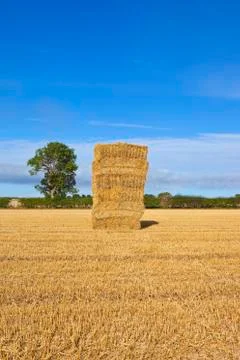 Autumn straw stack Stock Photos