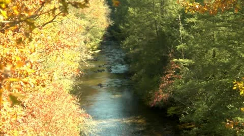 Autumn Stream (1080-24FPS) Stock Footage 10975484