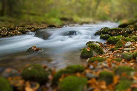 Autumn stream in deep forest Stock Photos