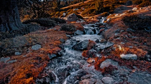 Autumn stream flowing through the Pyrenees in Spain Stock Footage 303631834