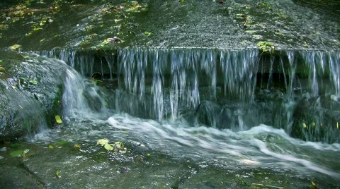 Autumn stream Stock-Footage 510746