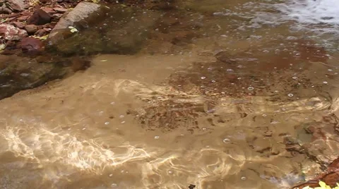 Autumn Stream Stock Footage 983133