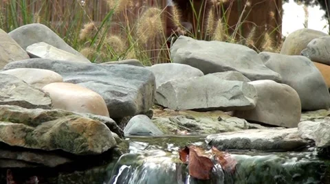 Autumn Stream Stock Footage 57977208