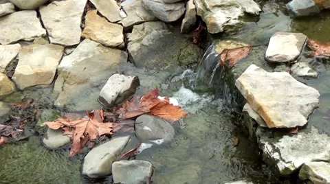 Autumn Stream Stock Footage 57977218