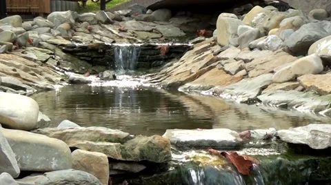 Autumn Stream Stock Footage 57977237