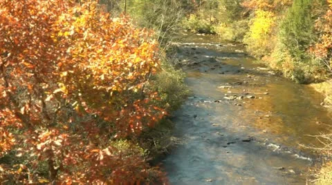 Autumn Stream - High Angle (1080-24FPS).mp4 Stock Footage 10975489