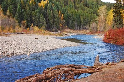 Autumn stream Stock Photos