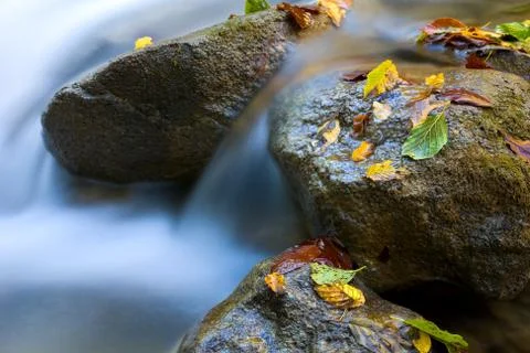 Autumn stream Stock Photos