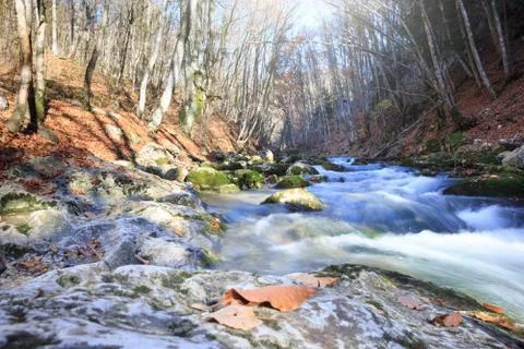 Autumn stream Foto stock