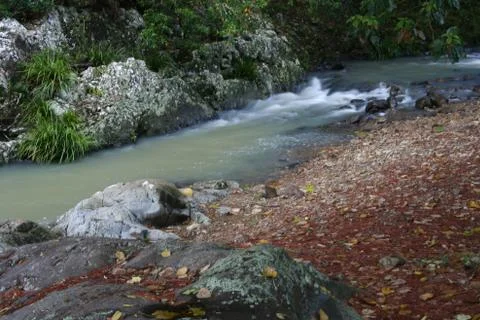 Autumn Stream Stock Photos