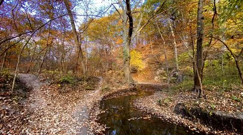 Autumn Stream Foto stock