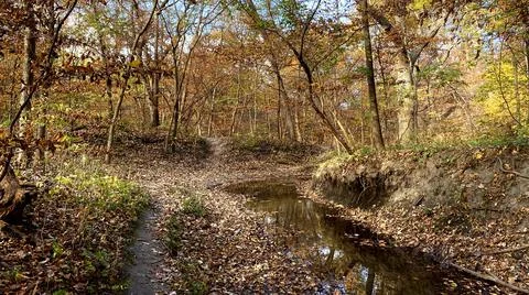 Autumn Stream Foto stock