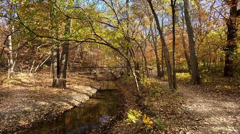 Autumn Stream Foto stock