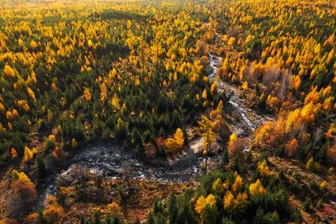 Autumn stream Stock Photos