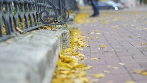 Autumn on the street Stock Footage 83952265