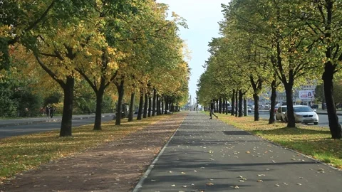 Autumn street Stock Footage 140424604